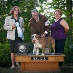 2011-08-17 WA specialty, Select Dog, Breeder-Judge Anne Heir.  5-Point Major.
