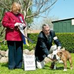 2011-03-18:  Another BEST IN SHOW SPECIALTY!  This was a very special win for us, under prestigious Breeder-Judge Jean Kozatek.  4-Point Major.