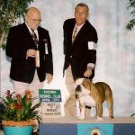 2011-04-09:  BEST OF BREED by Breeder-Judge Marcel Daignault at the Kachina K.C. in Arizona!
